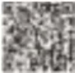 Scanned text of contract clauses