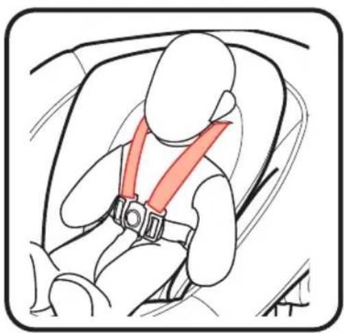 GRACO Sway2Me - MISE EN GARDE - 5