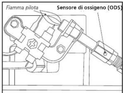 Fiamma pilota Sensore di ossigeno (ODS)