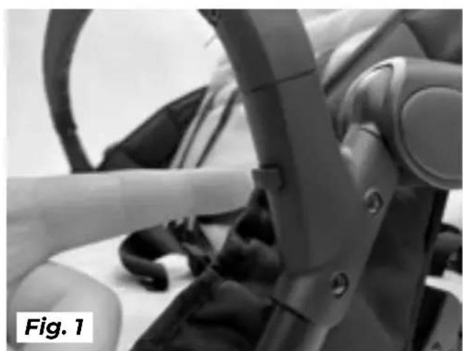 Gaggle Odyssey - Arm Bar Removal: - 1