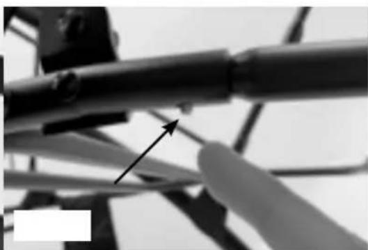 Gaggle Odyssey - STEP 2 - Attaching Bottom Storage Bar - 2