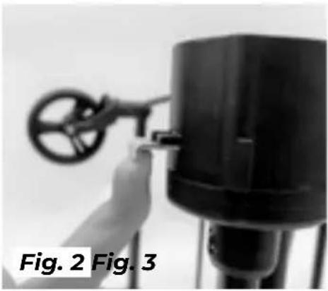 Gaggle Odyssey - Rear Wheel Installation: - 2