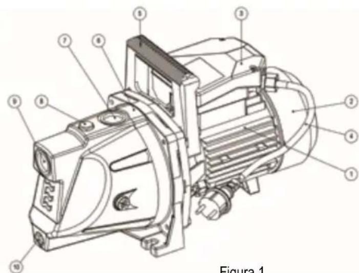 Figura 1