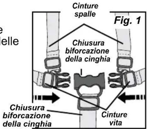 Gaggle Compass - Regolazione altezza delle cinture spalle: - 1
