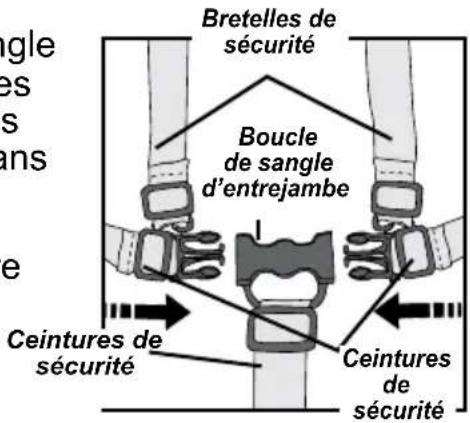 Gaggle Compass - Régler la sangle d'entrejambe : - 1
