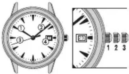 Balmain Eirini - Montre Heures/Minutes/Secondes/Date: Couronne à 3 positions Mise à l'heure et stop seconde - 1