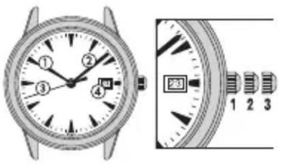 Technical diagram of a wristwatch with labeled parts and close-up view showing dial and rotary knob