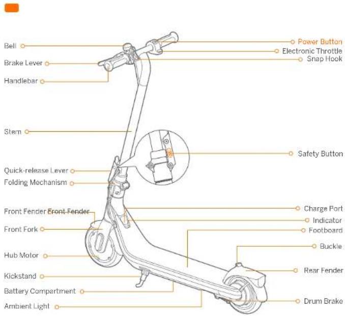 Dzwonek Dźwignia hamulca Kierownica Kolumna kierownicy Dźwignia szybkiego zwalniania Mechanizm składania Błotnik przedni Błotnik przedni Przedni widelec Silnik piasty Nożka Komora akumulatora Świalto ambientowe Przycisk zasilania Elektroniczna przepustnica Karabińczyk Przycisk bezpieczeństwa Gniazdo ładowania Lampka sygnalizacyjna Podest Klamra Błotnik tylny Hamulec bębnowy