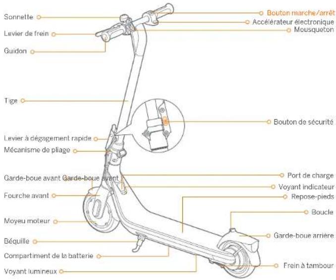 SEGWAY Ninebot KickScooter C2 Pro - Diagramme - 2
