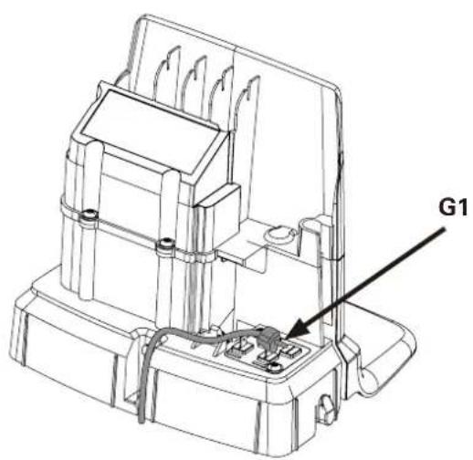 G1
