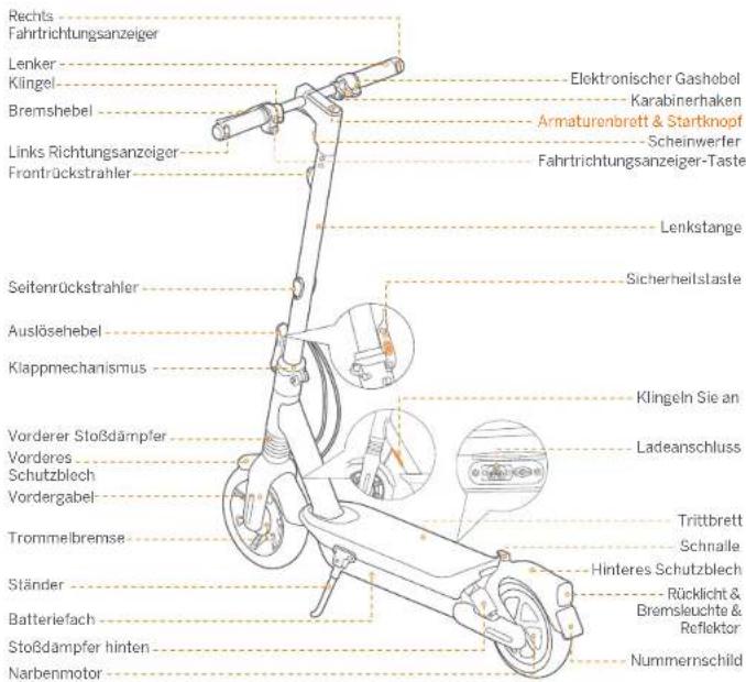 SEGWAY Ninebot KickScooter MAX G2 - ① Diagramm - 1