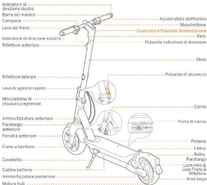 SEGWAY Ninebot KickScooter MAX G2 - ⑤ Warenzeichen - 2