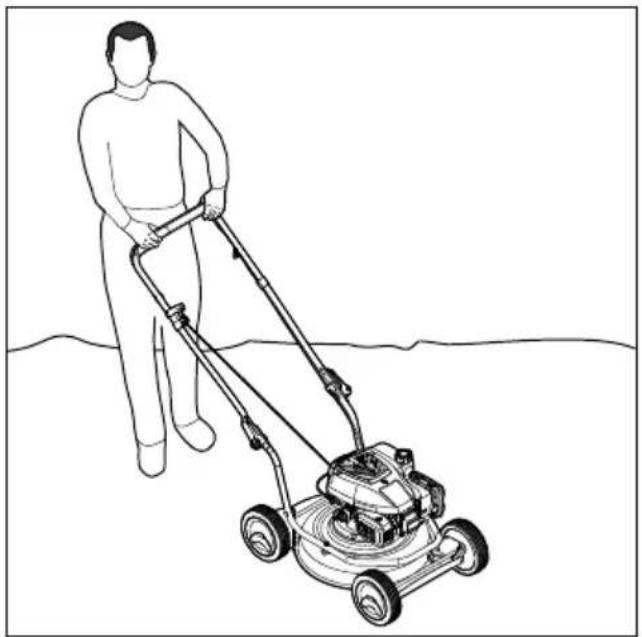 STIHL RM 2 RC - Mulchen - 1