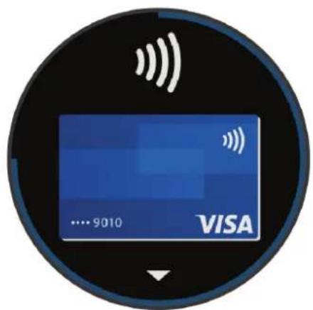 VISA 9010