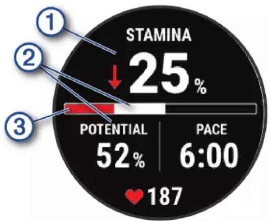 GARMIN Epix Pro (Gen 2) - Affichage de votre Stamina en temps réel - 1