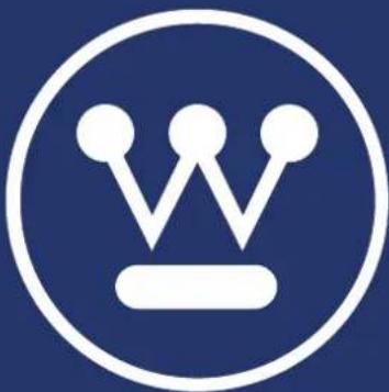 WESTINGHOUSE iGen4500DFcv - AVIS - 2