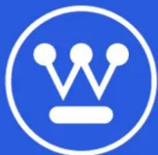 WESTINGHOUSE WPX3600 - STOCKAGE HIVERNAL - 1