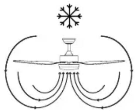 SPC Conforto DC Max - DREHRICHTUNG. OPTION WINTER/SOMMER. - 2