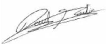 NGS Artica Greed - This declaration of conformity is issued the sole responsibility of the manufacturer. - 1