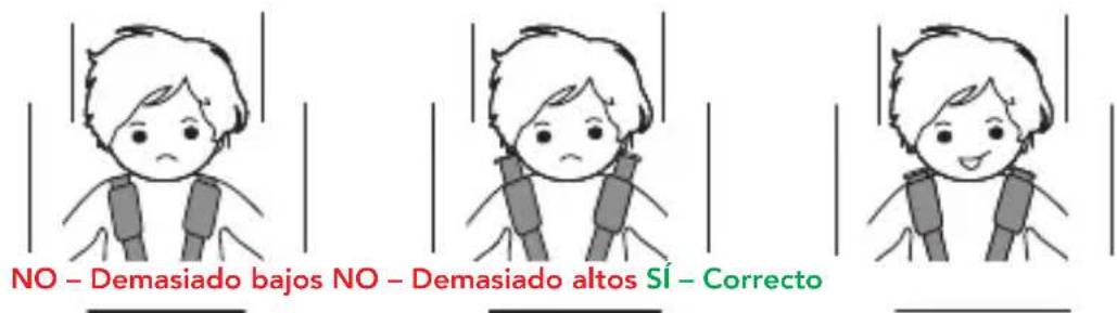 Foppapedretti Pitstop i-Size - REGULACIÓN DE LA ALTURA DEL APOYACABEZAS Y DE LOS TIRANTES - 1