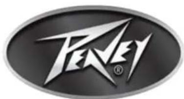 PEAVEY Digitool LIVE - 一般: - 1