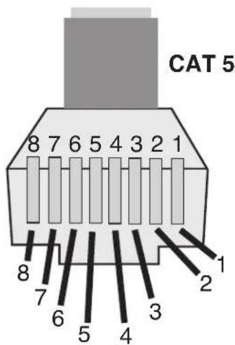 MediaMatrix PageMatrix - Cat 5 Plug 3-Pin Connector - 1