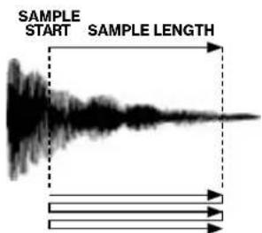 SAMPLE START SAMPLE LENGTH