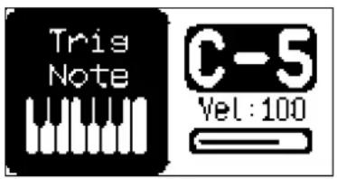 Tris Note C-5 Vel : 100