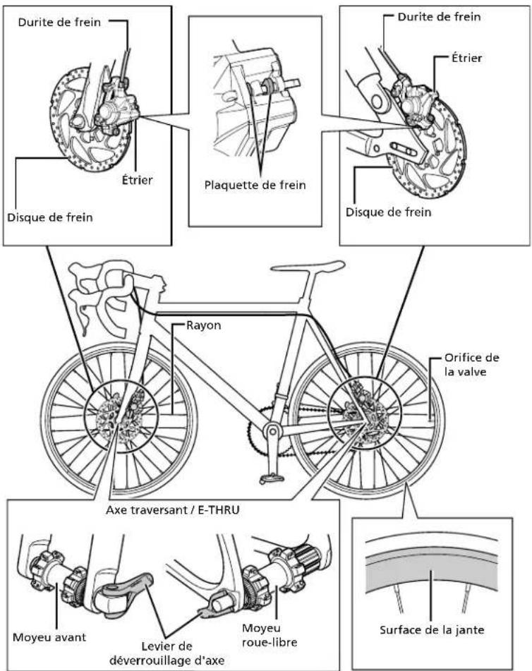 SHIMANO WH-RS770-C30-TL-F12 - Noms des pièces - 1