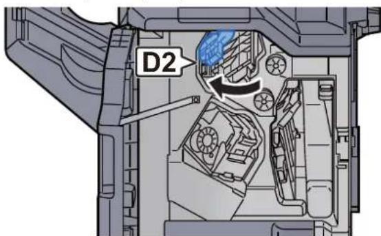 D2