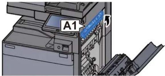 A1