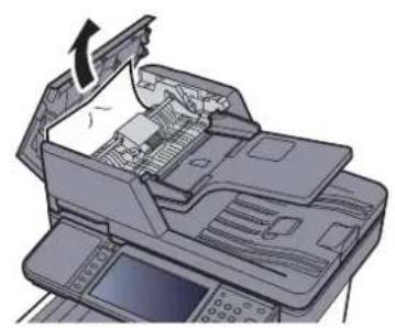 OLIVETTI d-Color MF3024 - Chargeur de documents - 4