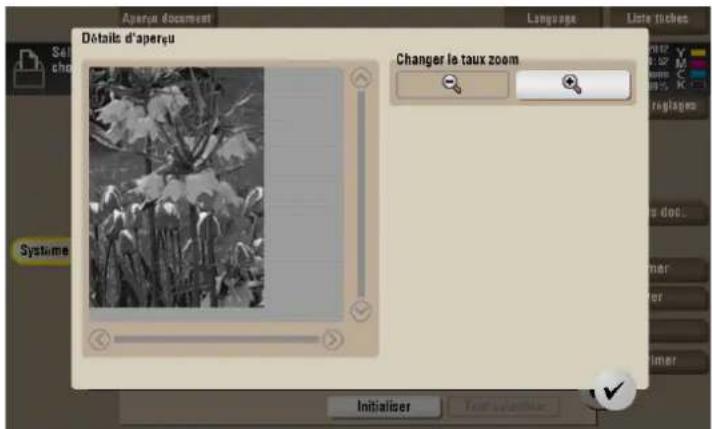 Détalis d'aperçu Changer le taux zoom Sél chou Systeme Initialiser Text<|ref_end|><|rotate_up|>