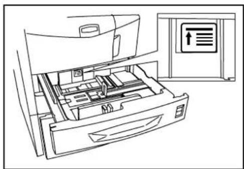 OLIVETTI d-Copia 400MF - Chargement du papier dans les magasins - 5