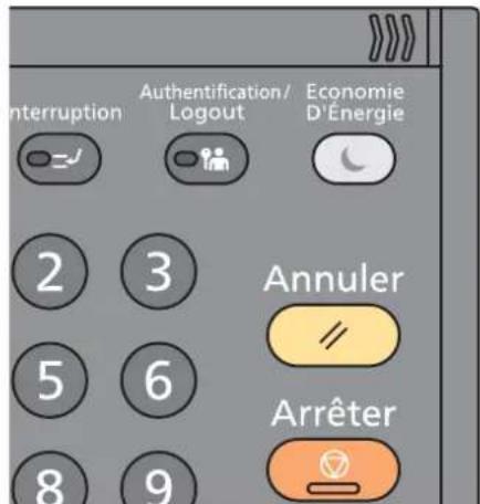 OLIVETTI d-Copia 255MF - Déconnexion - 1