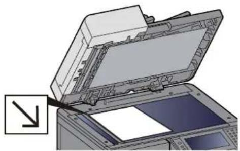 OLIVETTI d-Copia 255MF - Mettre en place les originaux. - 2