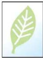 OLIVETTI d-Copia 255MF - [EcoPrint] - 6