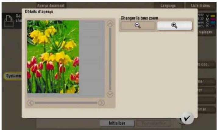 Détalis d'aperçu Changer le taux zoom Sél chou Systeme Initialiser Initialiser