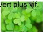 OLIVETTI d-Color MF3555 - REMARQUE - 16