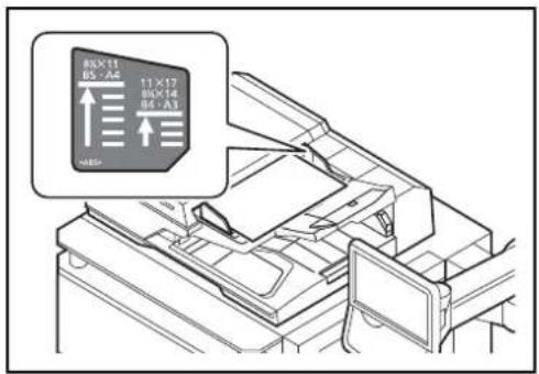 OLIVETTI d-Copia 8000MF plus - Comment charger les originaux - 2