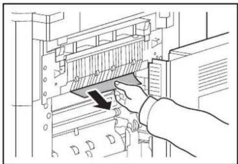 OLIVETTI d-Copia 8000MF plus - Unité de fixation - 2