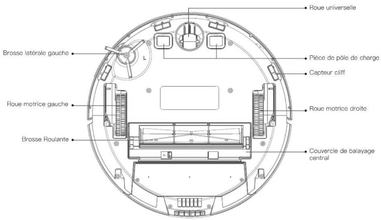 Proscenic M8 PRO - Hôte et capteur - 1