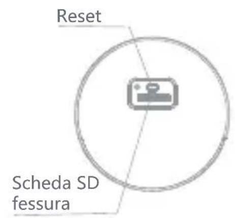 Laxihub F1 - Introduzione - 2