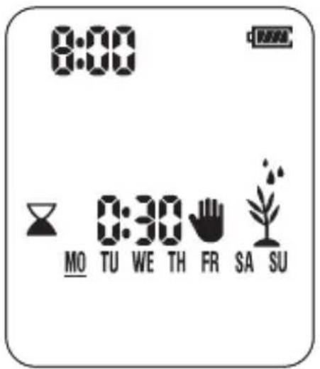 8:00 MO TU WE TH FR SA SU