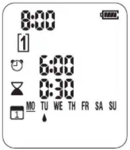 8:00 1 6:00 0:30 MO TU WE TH FR SA SU