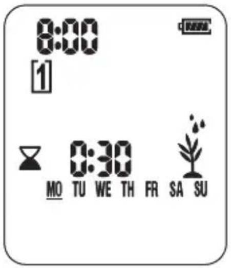 8:00 1 0:30 MO TU WE TH FR SA SU