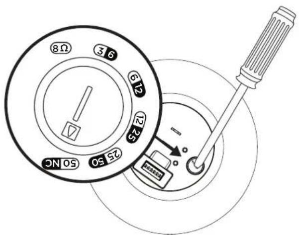 BOSE DesignMax DM5P - Ustawienia głośnika - 1