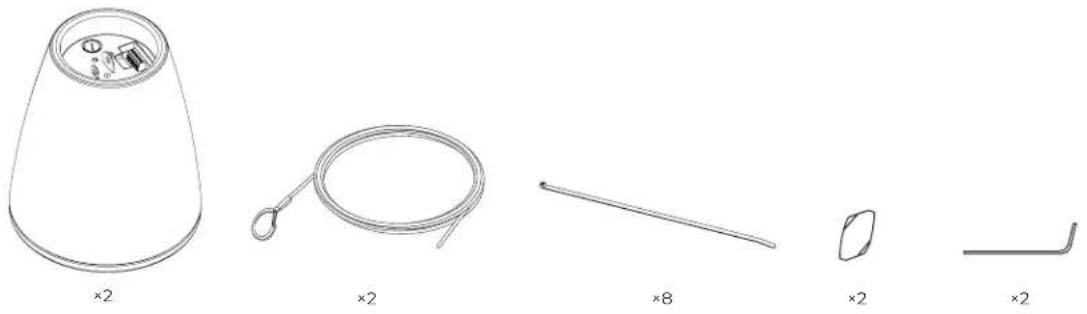 BOSE DesignMax DM5P - Verpackungsinhalt - 1