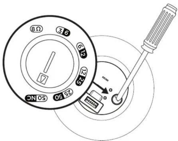 BOSE DesignMax DM5P - 揚聲器設定 - 1