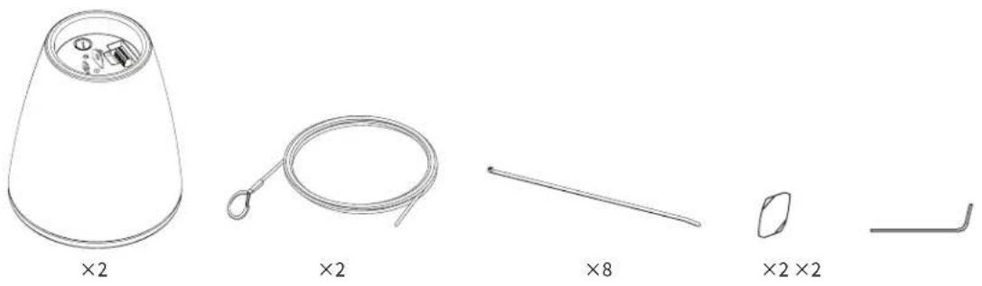 BOSE DesignMax DM5P - 包裝內容物 - 1
